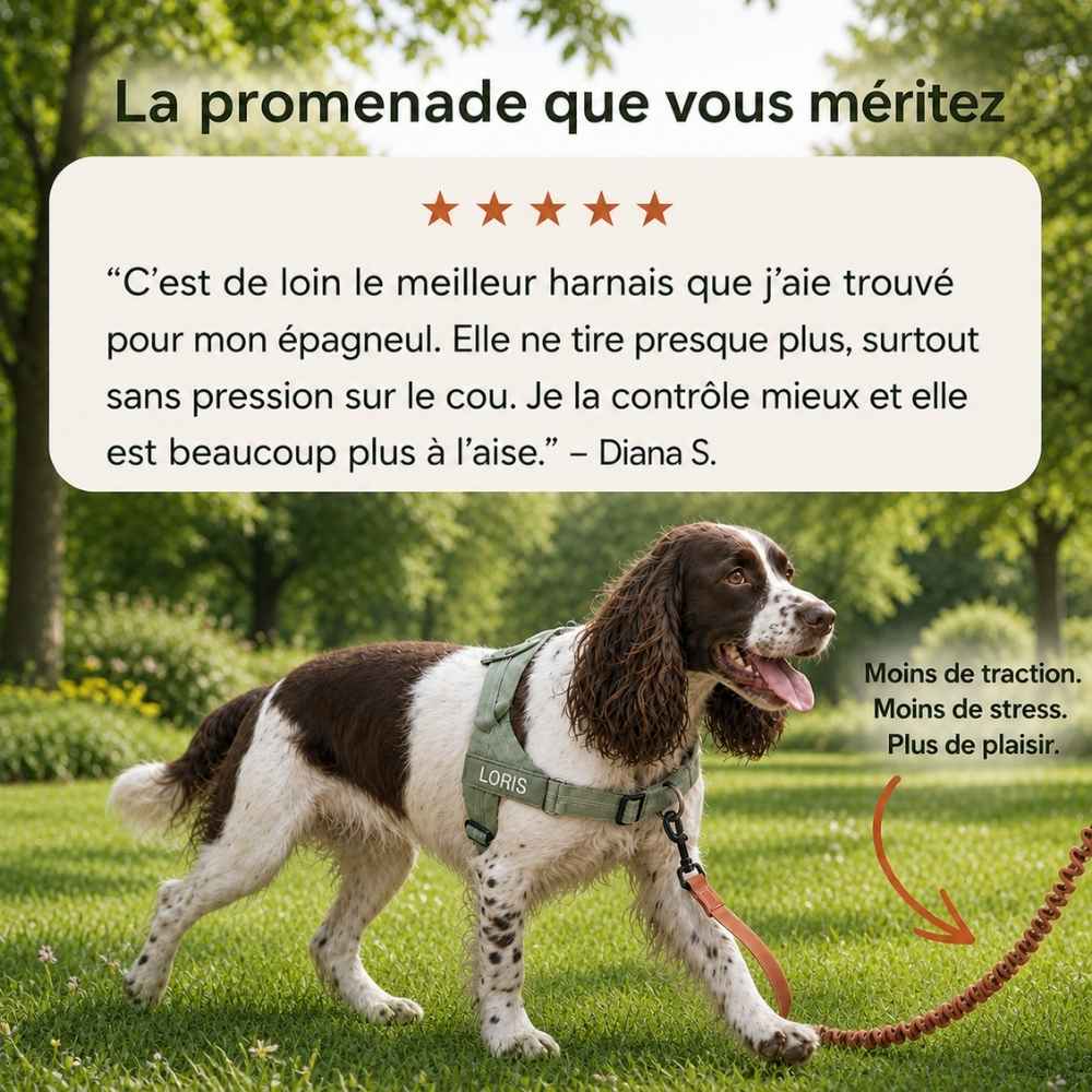 Harnais anti-traction pour chien Balapatte