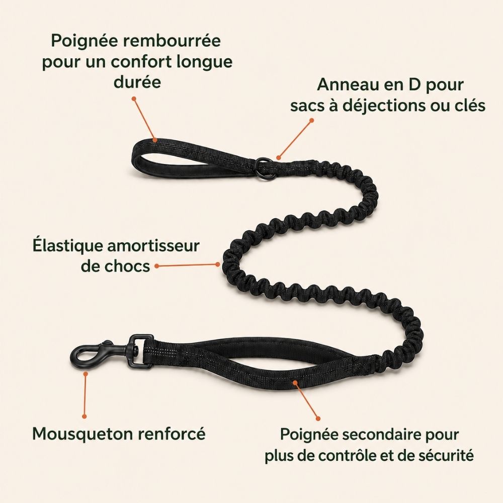 Laisse élastique pour chien Balapatte