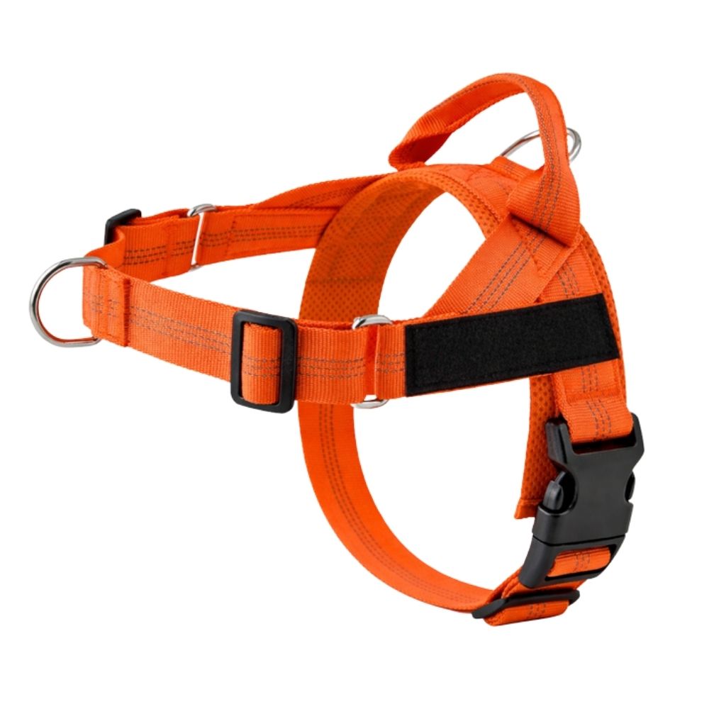 Harnais anti-traction pour chien Balapatte