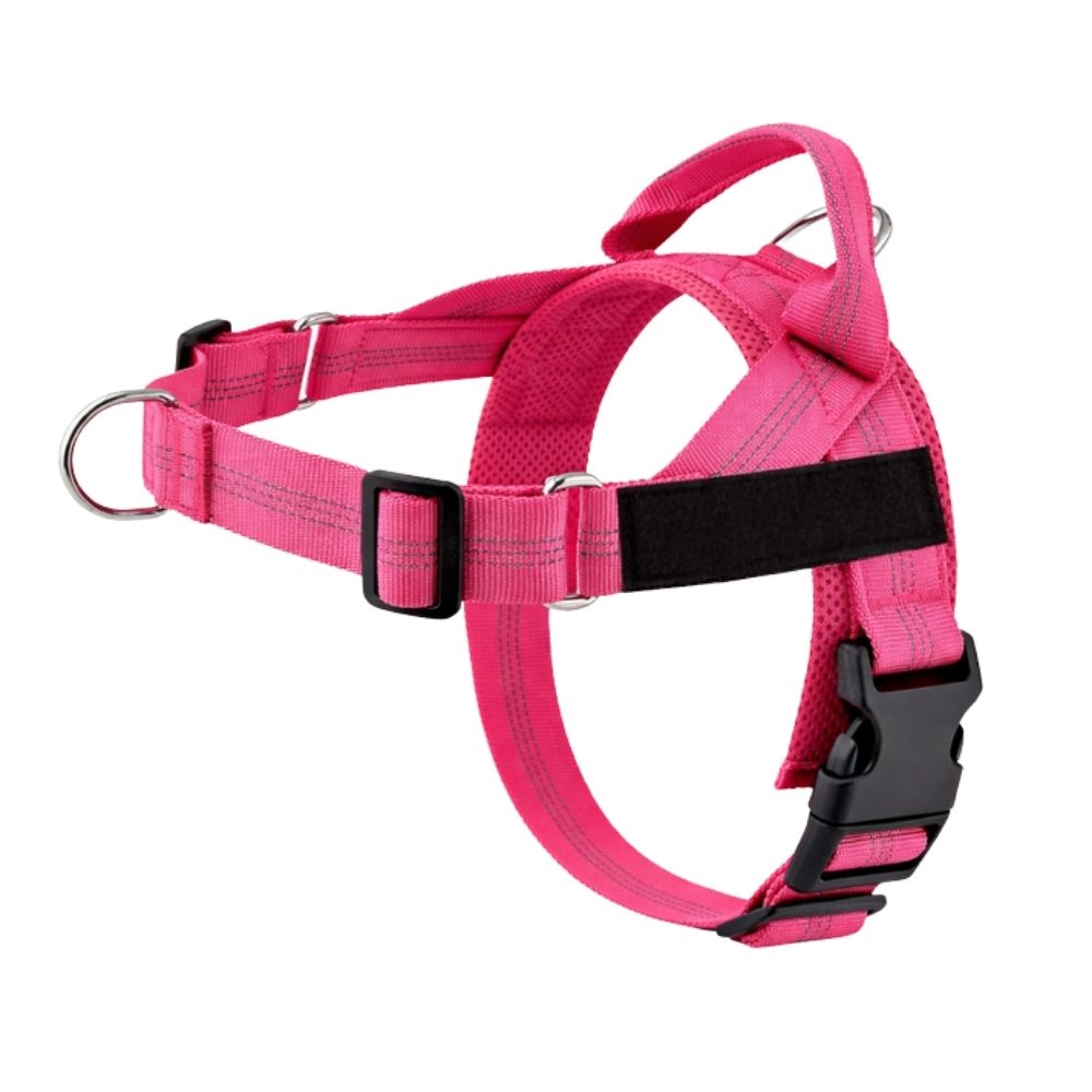 Harnais anti-traction pour chien Balapatte
