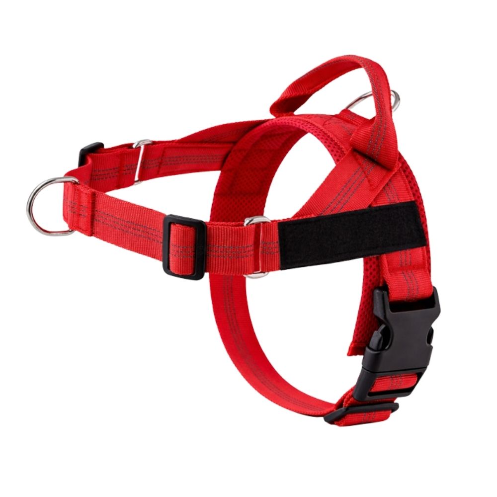 Harnais anti-traction pour chien Balapatte