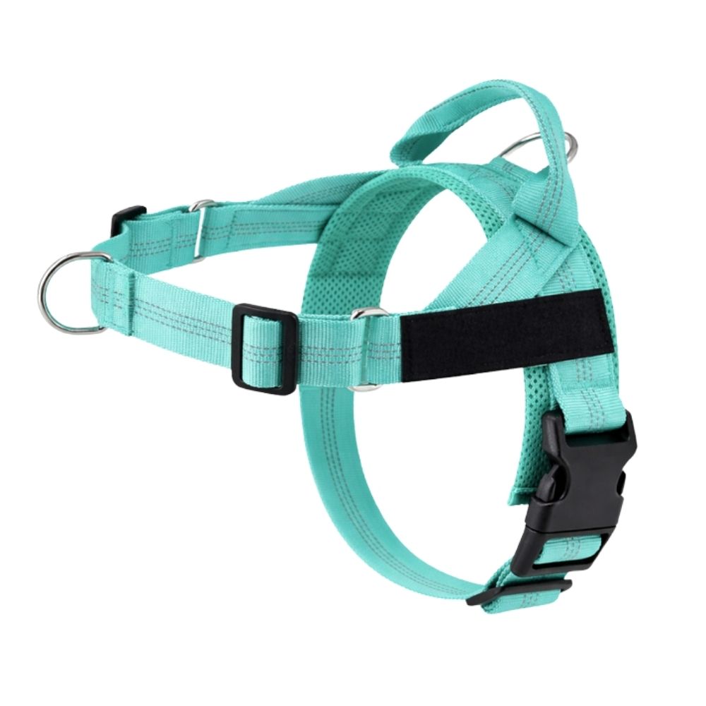 Harnais anti-traction pour chien Balapatte