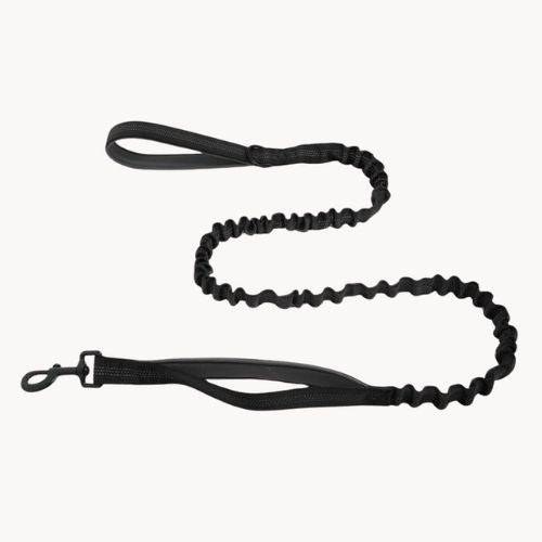 Laisse élastique pour chien Balapatte