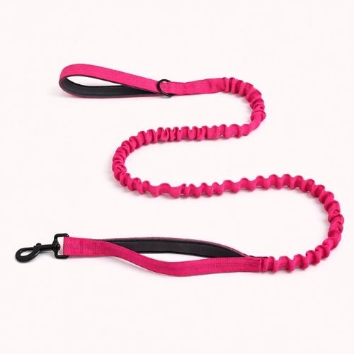 Laisse élastique pour chien Balapatte